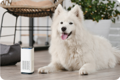 Puppy Kind Pet Air Purifier shown with a dog in a home product photograph.